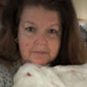 Meet your Posher, Bridget